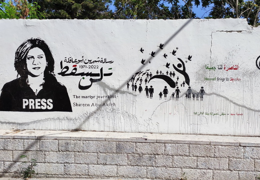 Journalist-specific videos