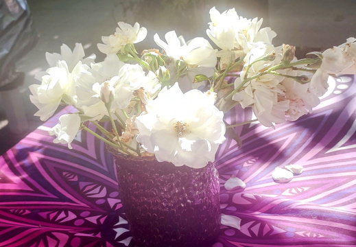 IMG 20250523 162928~2