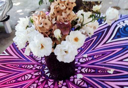 IMG 20250525 112703~2