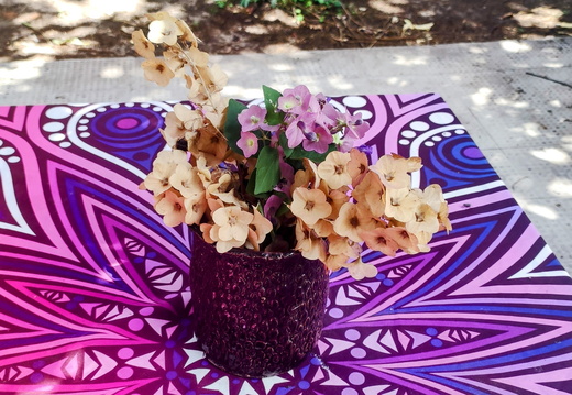 IMG 20250528 131536~2