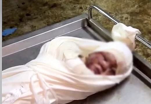 ‎27.11.25‏ עזה: מוחמד אחמד בדוואן