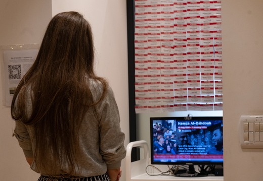 Ahal viewing from a distance