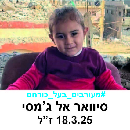 סינוור אל גמסי.jpg